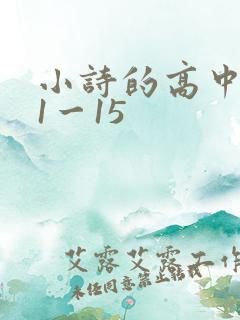 小诗的高中日记1一15
