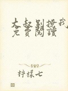 大叔别撩我小说免费阅读