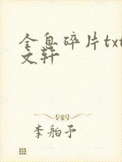 全息碎片txt文轩