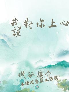 我对你上心了小说