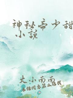 神秘帝少甜宠妻 小说