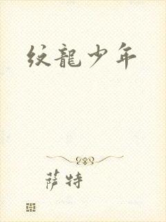 纹龙少年