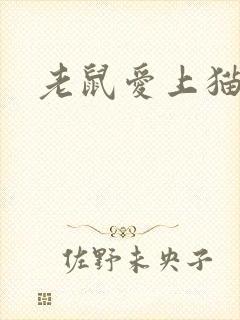 老鼠爱上猫下载