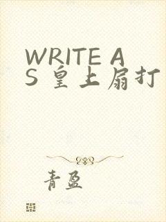 WRITE AS 皇上扇打