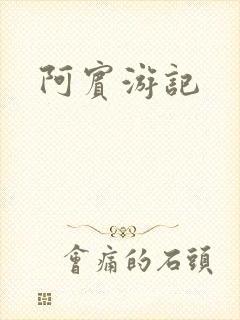 阿宾游记