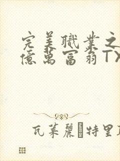 完美职业之我是亿万富翁TXT