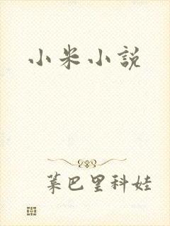 小米小说