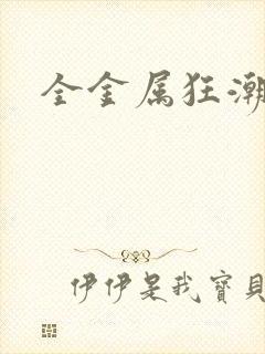 全金属狂潮小说