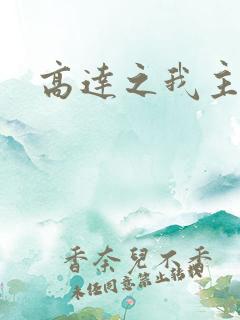 高达之我主沉浮