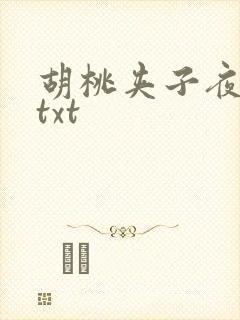 胡桃夹子夜未眠txt