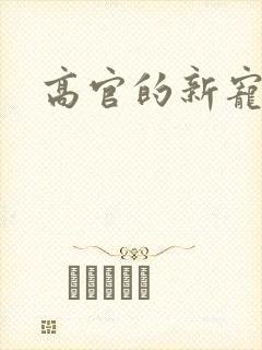 高官的新宠