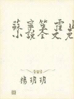 苏宁笙 霍止行小说全文免费阅读