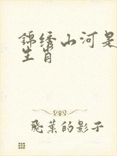 锦绣山河是什么生肖