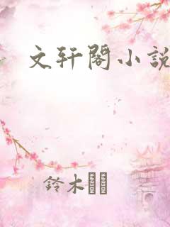 文轩阁小说网