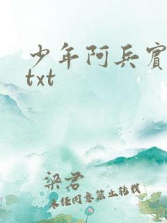 少年阿兵宾小说txt