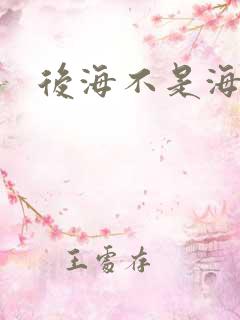 后海不是海小说