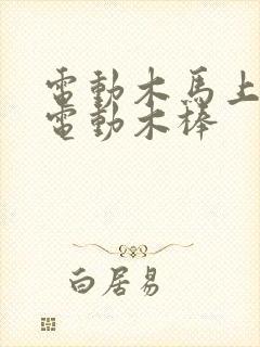 电动木马上两个电动木棒