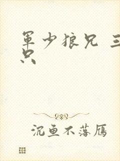 军少狼兄 三两只