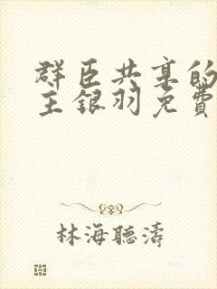 群臣共享的小公主银羽免费阅读