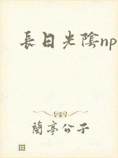 长日光阴np