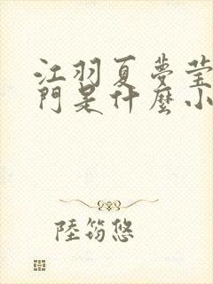 江羽夏梦莹神谕门是什么小说