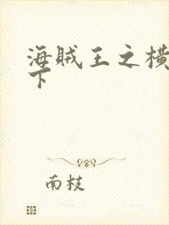 海贼王之横行天下