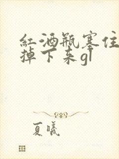 红酒瓶塞住不准掉下来gl