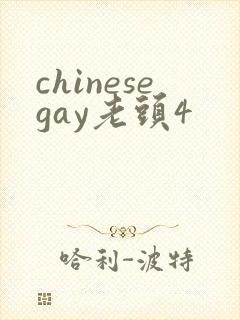 chinesegay老头4