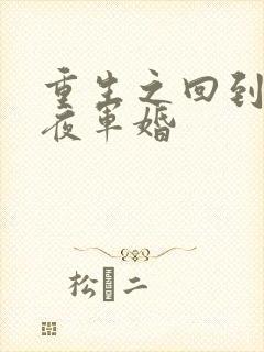 重生之回到新婚夜军婚