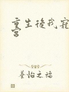 重生后我宠冠东宫