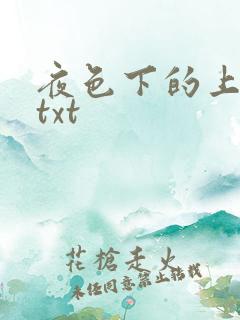 夜色下的上海滩txt