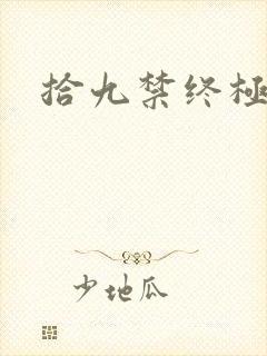 拾九禁终极直播