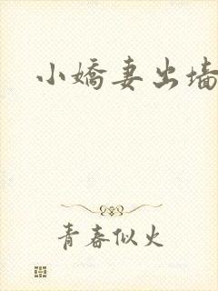 小娇妻出墙记