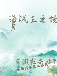 海贼王之镜花水月