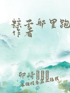 粽子哪里跑小说作者