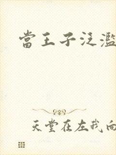 当王子泛滥之时