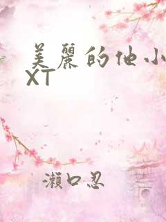 美丽的他小说TXT