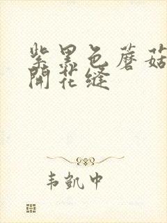 紫黑色蘑菇头顶开花缝