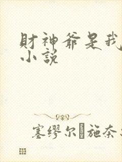 财神爷是我老板小说