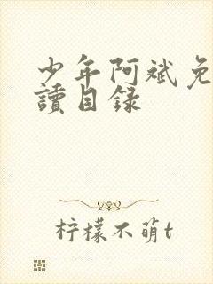 少年阿斌免费阅读目录