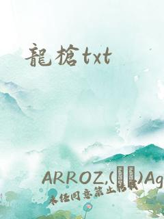 龙枪txt