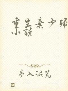 重生弃少归来 小说