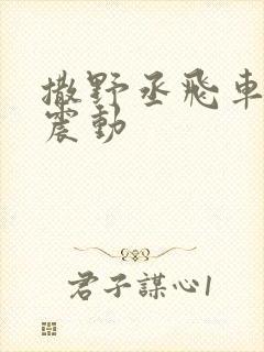 撒野丞飞车道具震动