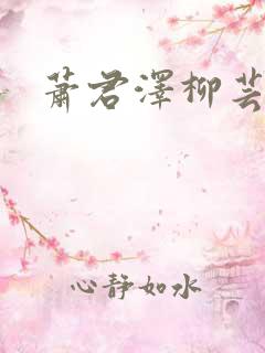 萧君泽柳芸小说