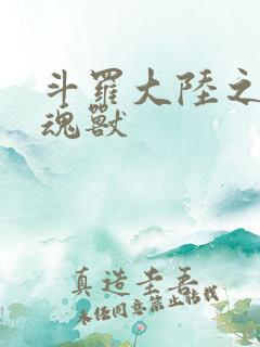 斗罗大陆之最强魂兽