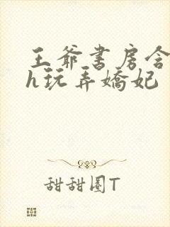 王爷书房含乳尖h玩弄娇妃