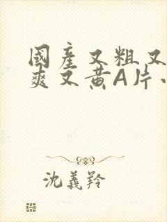 国产又粗又猛又爽又黄A片小说