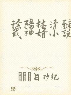 徐阳林清雅绝世武神婿小说