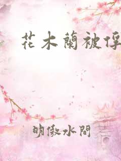 花木兰被俘奶