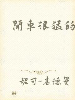 开车很猛的古文